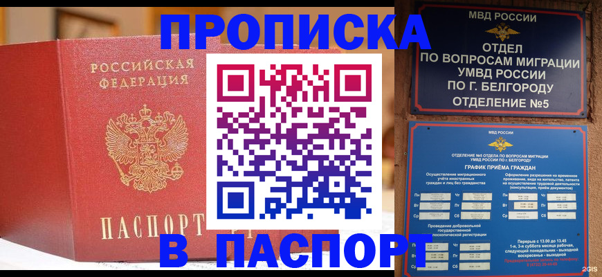 временная регистрация в квартире в Приморском крае